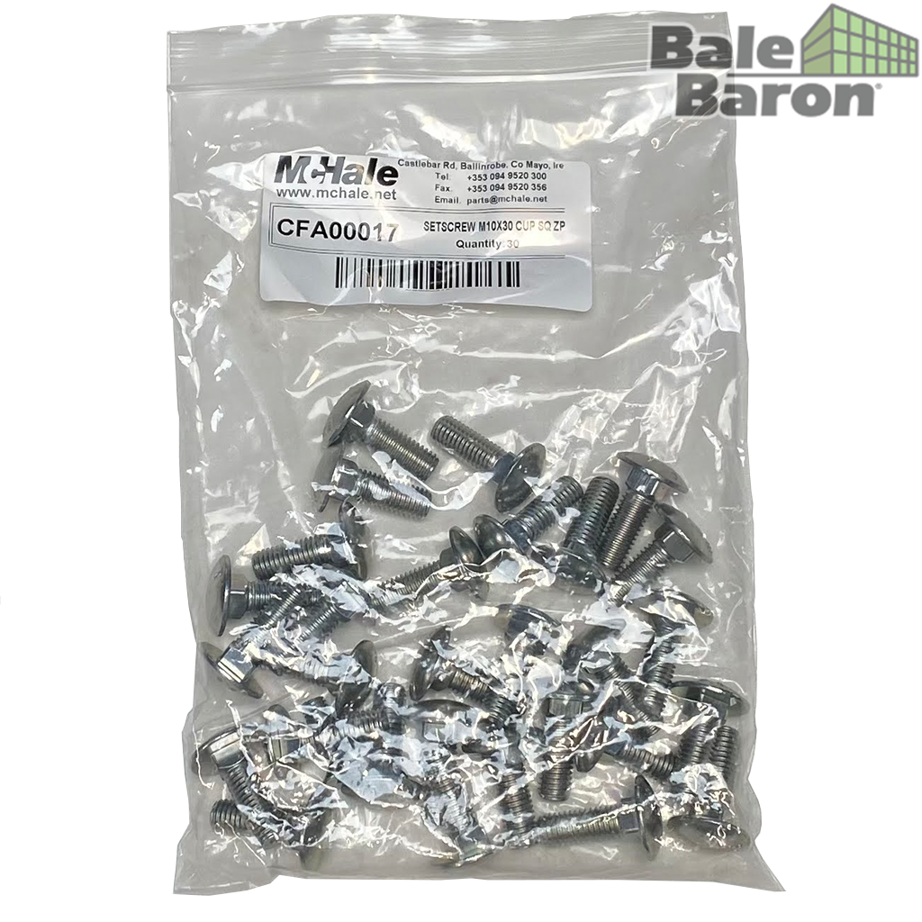 CFA00017 - SETSCREW M10X30 CUP SQ Z/P