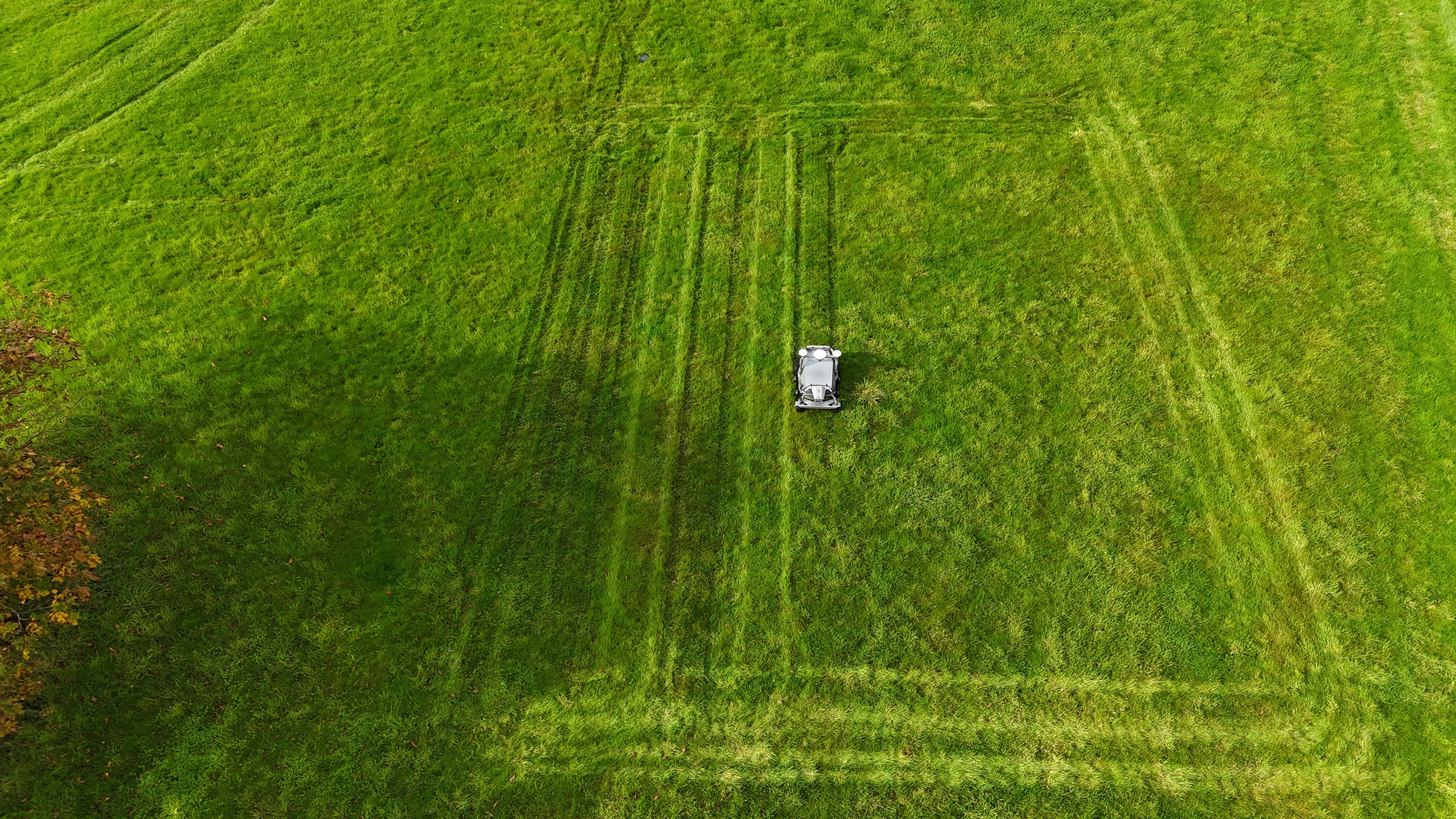 How to Maintain Grass Airstrips Efficiently