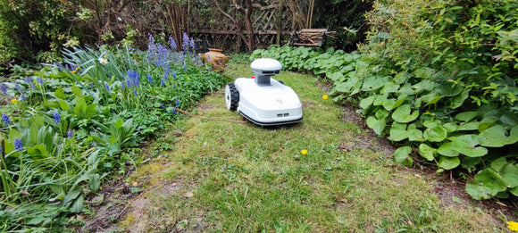 Best Robot Lawn Mower for YOUR Garden (UK Buying Guide)