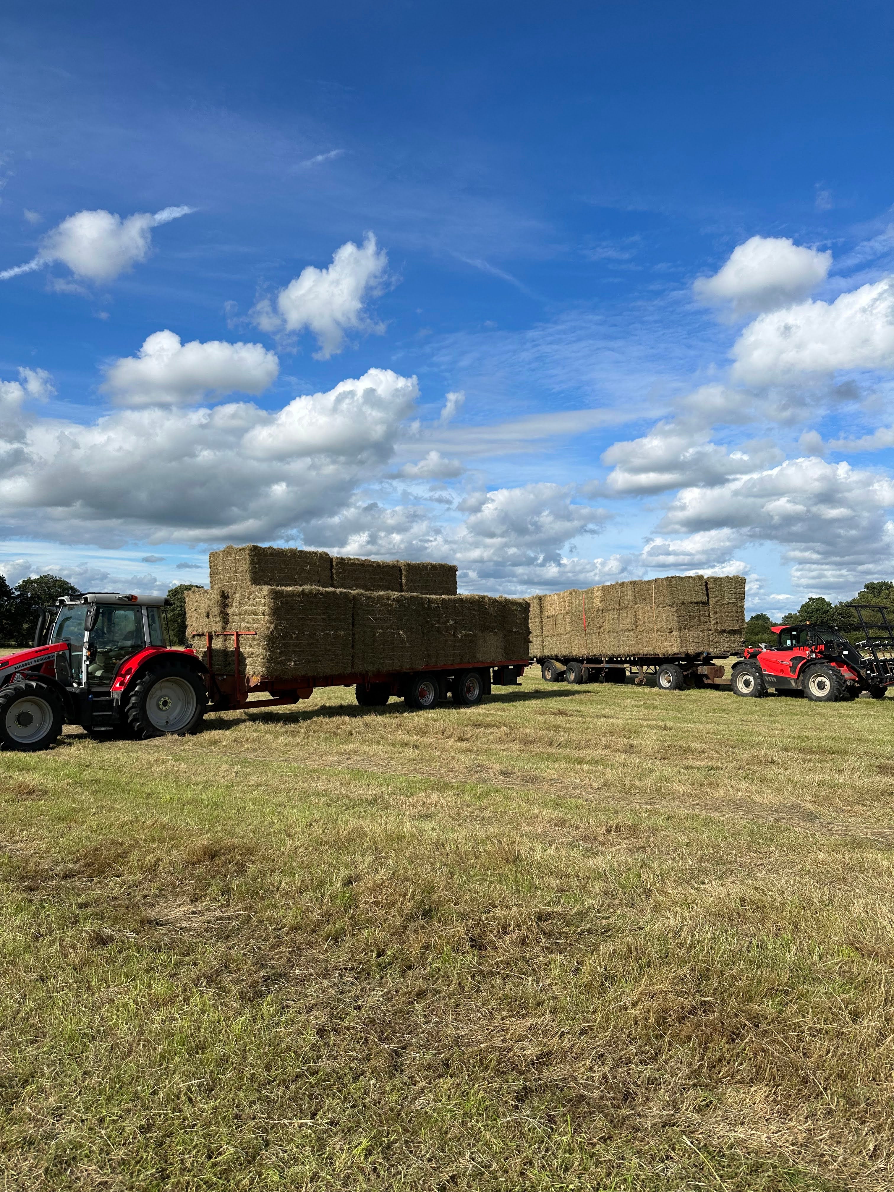 What Moisture Should Hay Be Baled At? (UK Guide)