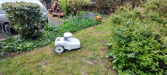 How Much Time Can a Robot Lawn Mower Save You?