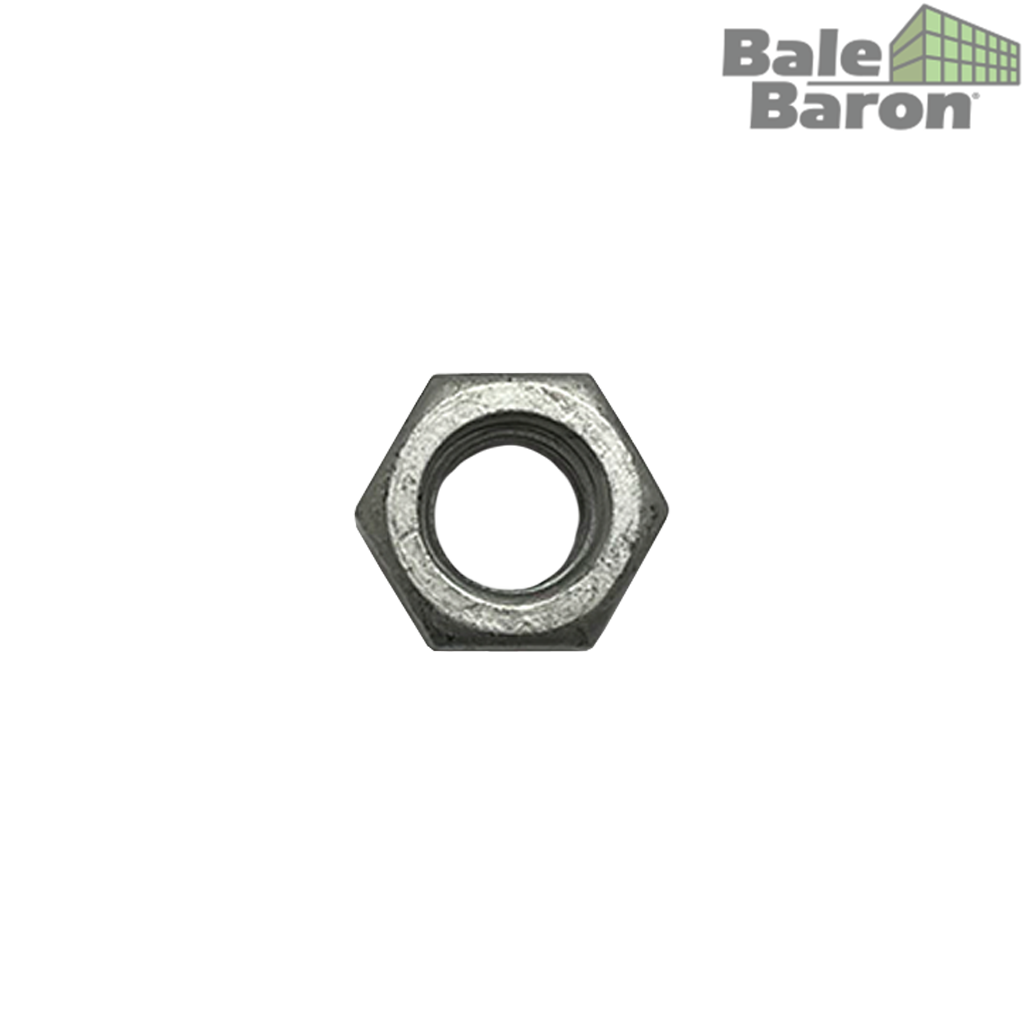 Hex Nut