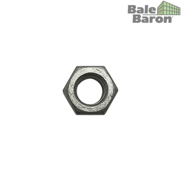 Hex Nut