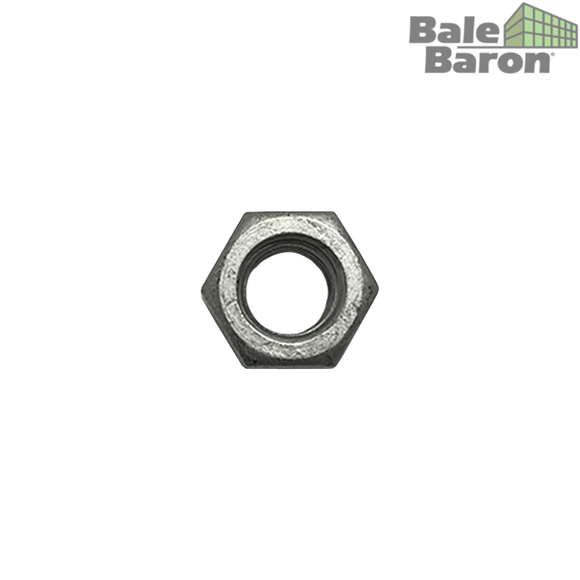 Hex Nut