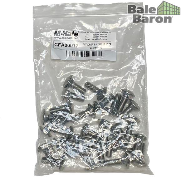 CFA00017 - SETSCREW M10X30 CUP SQ Z/P